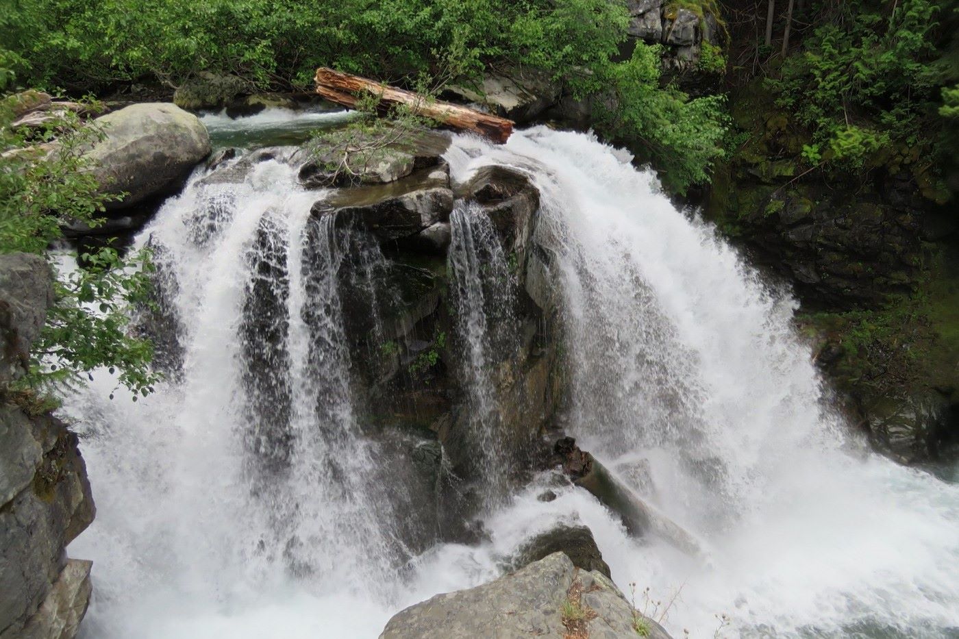 secrets-beneath-washingtons-cedar-falls