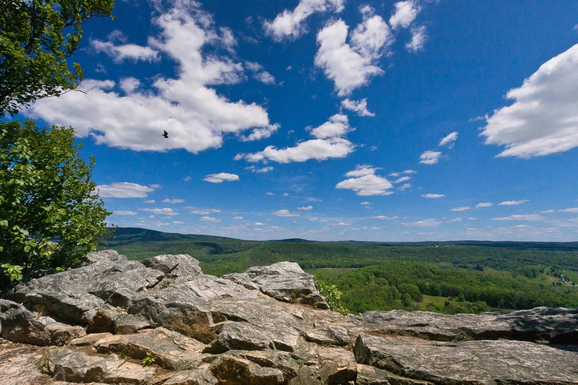 Secrets-Beneath-West-Virginia8217s-Ice-Mountain secrets-beneath-west-virginias-ice-mountain