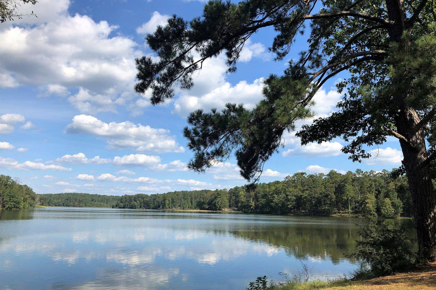 Secrets-Hidden-In-Alabama8217s-Brushy-Mountain secrets-hidden-in-alabamas-brushy-mountain