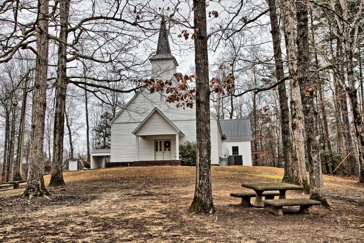 secrets-hidden-in-alabamas-cathedral-forest