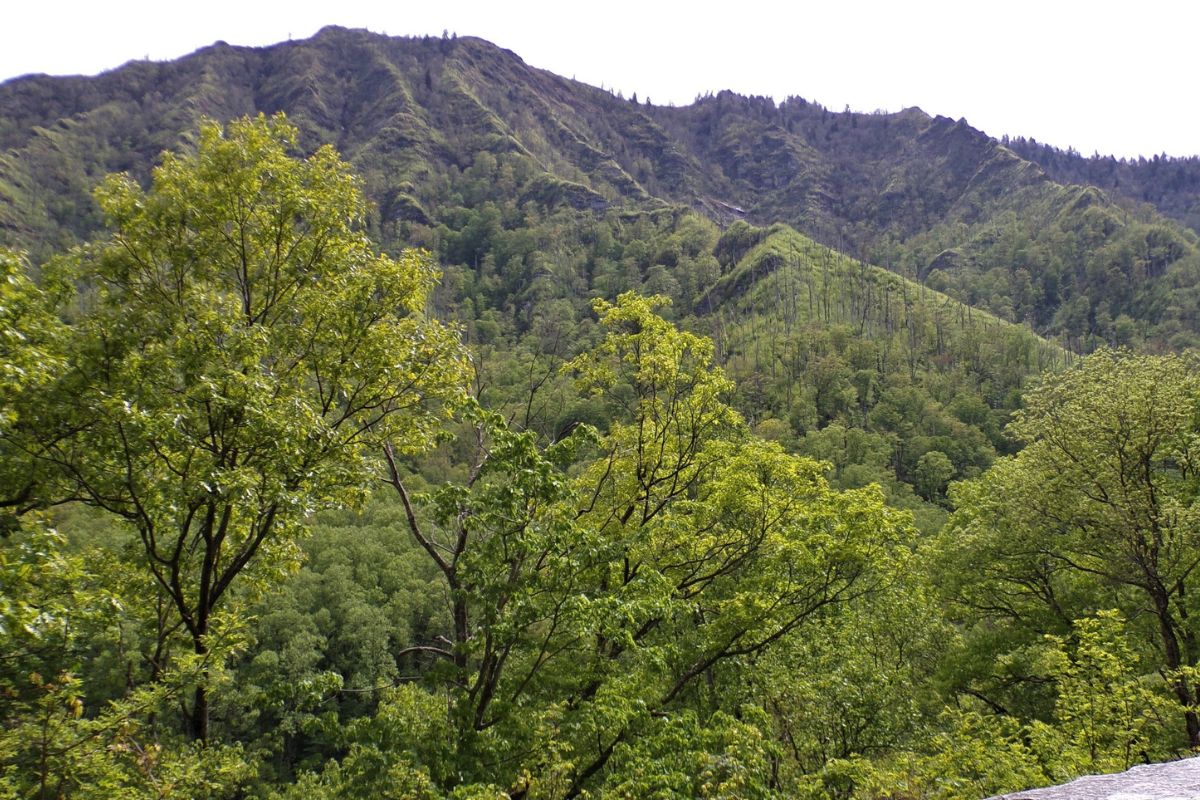 Secrets-Hidden-In-Alabama8217s-Dugger-Mountain secrets-hidden-in-alabamas-dugger-mountain