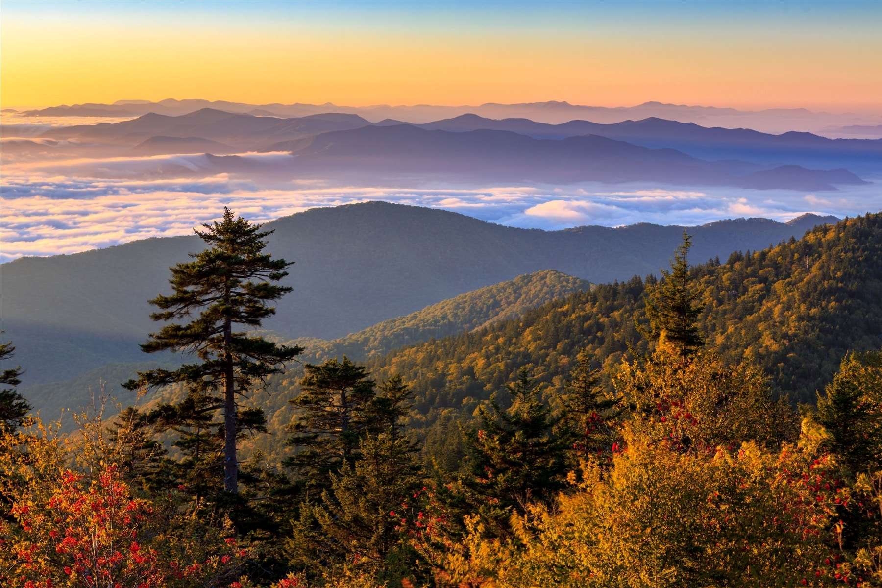 secrets-hidden-in-clingmans-dome
