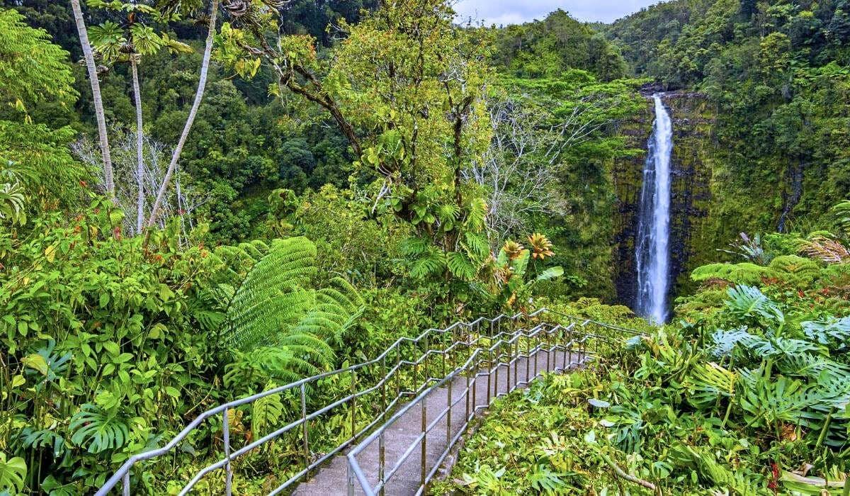 secrets-hidden-in-hawaiis-akaka-falls