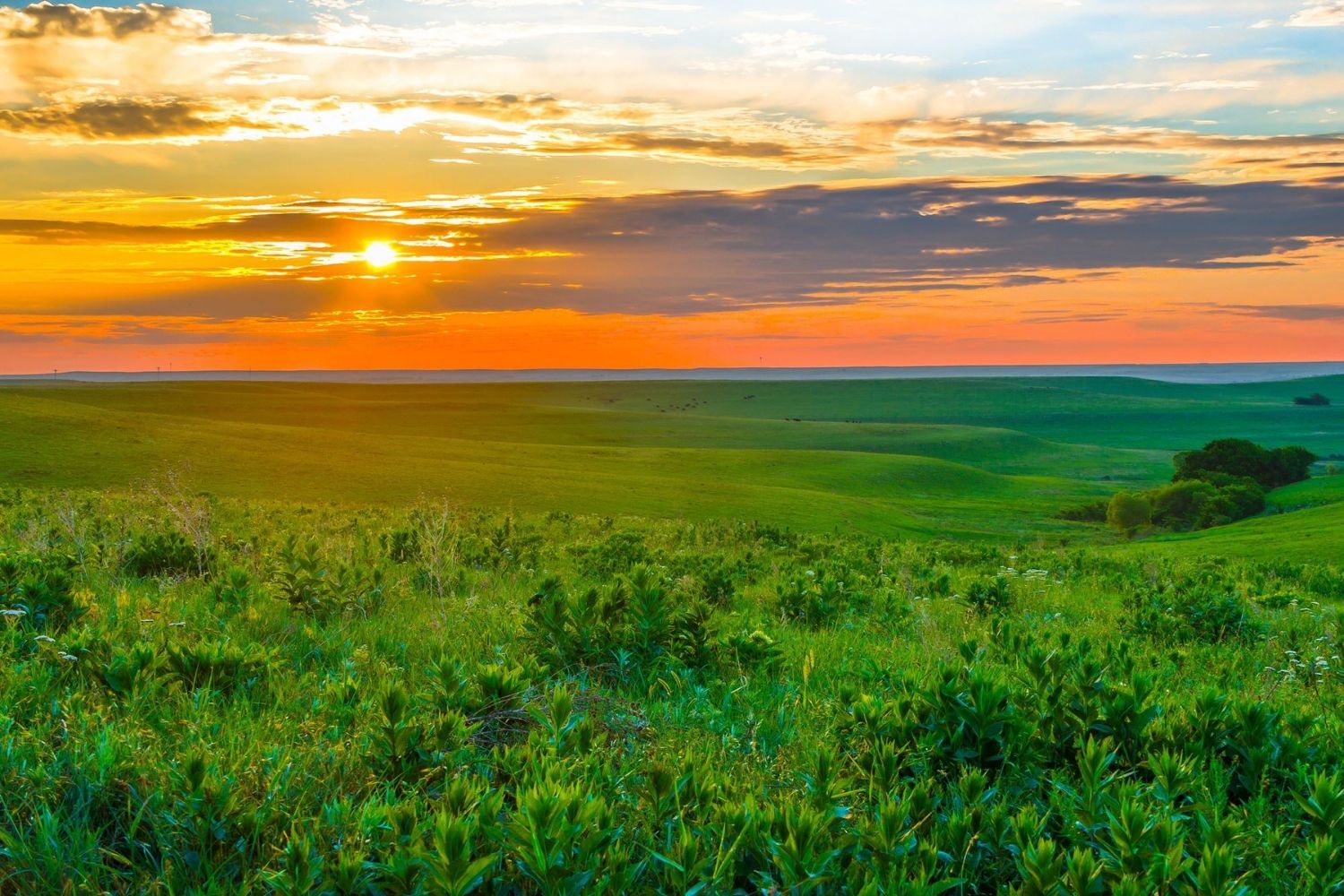 Secrets-Hidden-In-Kansas8217s-Flint-Hills secrets-hidden-in-kansass-flint-hills