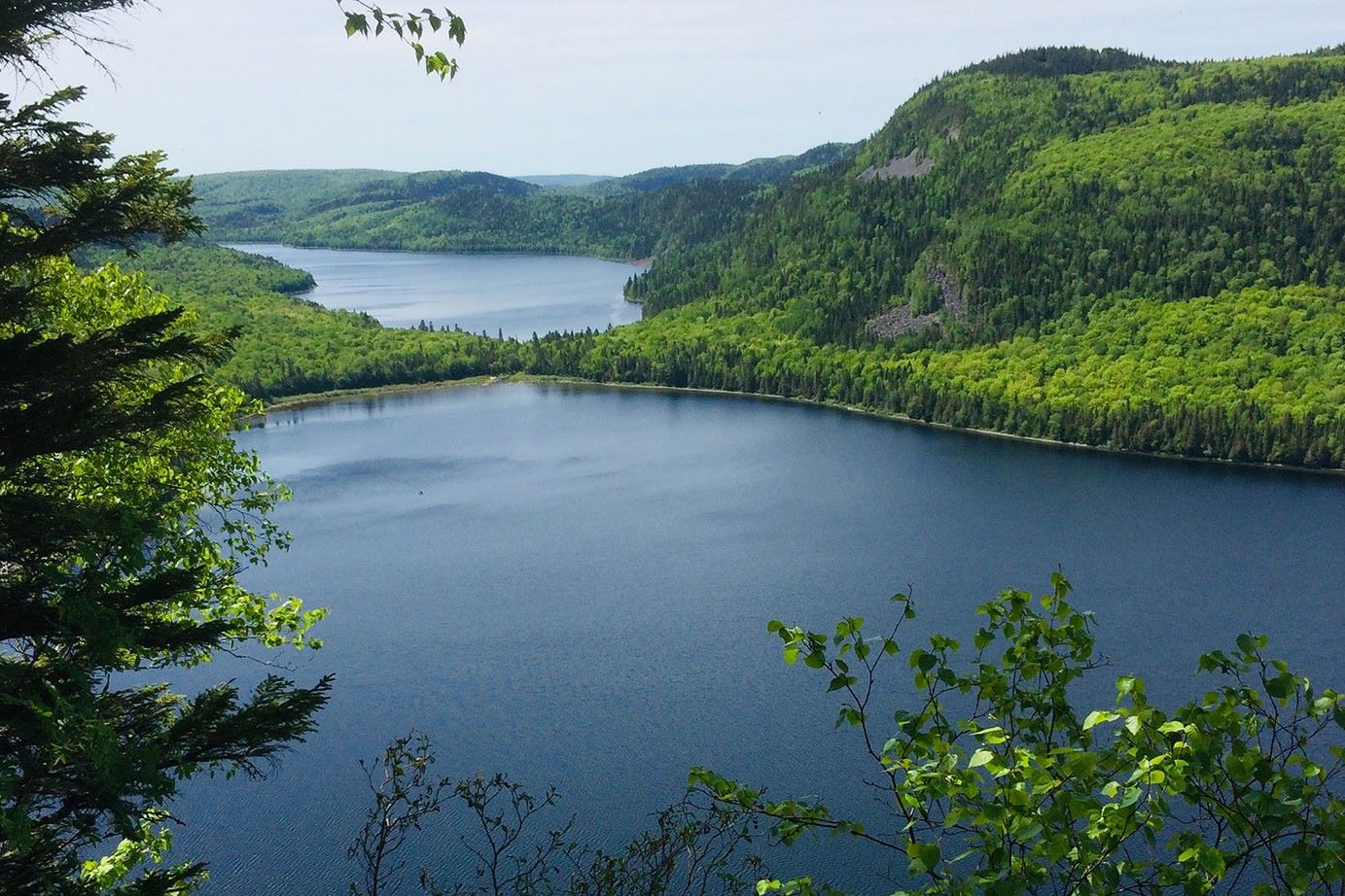 secrets-hidden-in-maines-deboullie