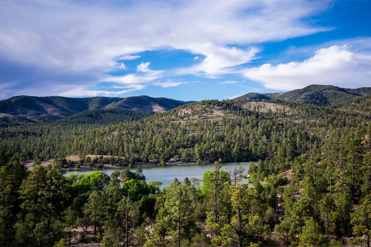 Secrets-Hidden-In-New-Mexico8217s-Gila secrets-hidden-in-new-mexicos-gila