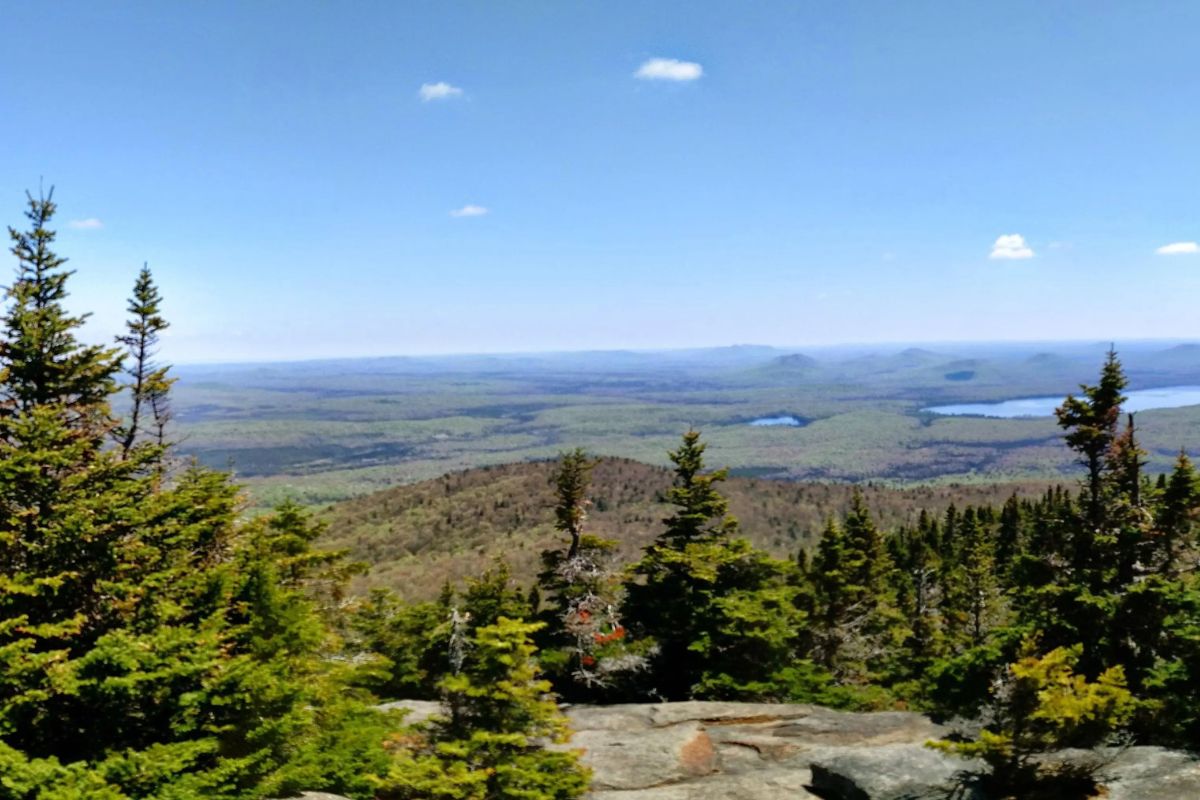 Secrets-Hidden-In-New-York8217s-Debar-Mountain secrets-hidden-in-new-yorks-debar-mountain