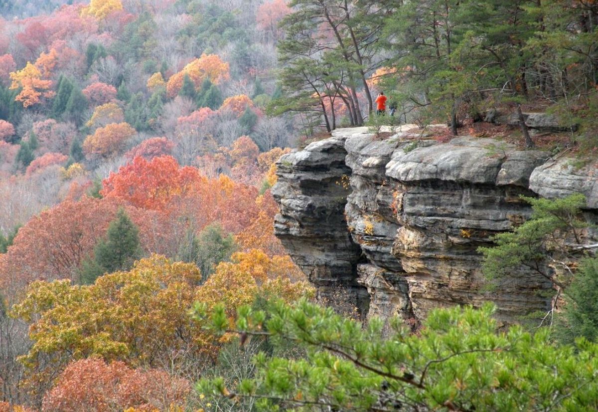 Secrets-Hidden-In-Ohio8217s-Conkles-Hollow secrets-hidden-in-ohios-conkles-hollow