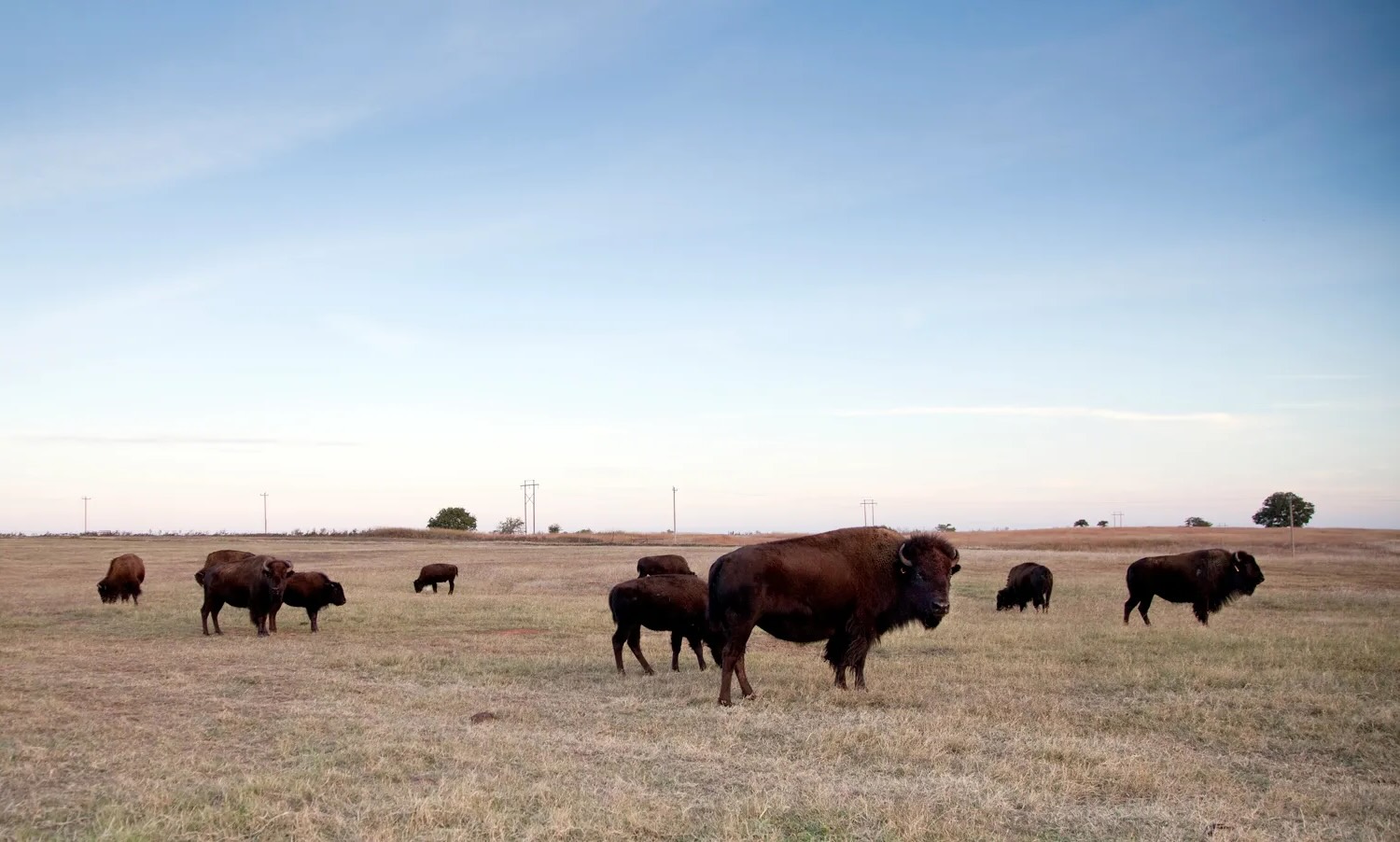 Secrets-Hidden-In-Oklahoma8217s-Great-Plains secrets-hidden-in-oklahomas-great-plains