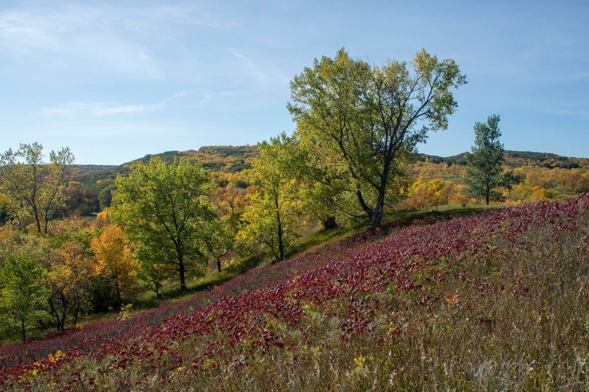 Secrets-Hidden-In-South-Dakota8217s-Sica-Hollow secrets-hidden-in-south-dakotas-sica-hollow