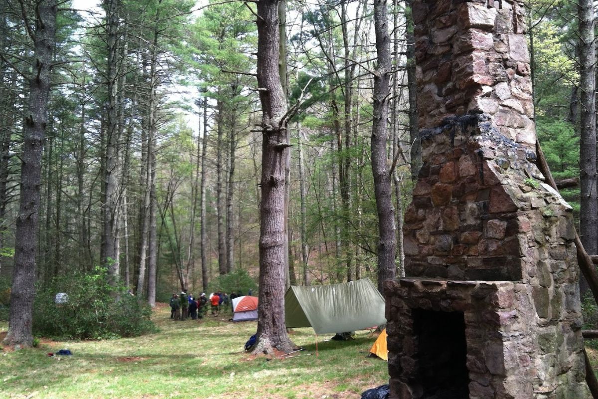 secrets-hidden-in-virginias-ramseys-draft