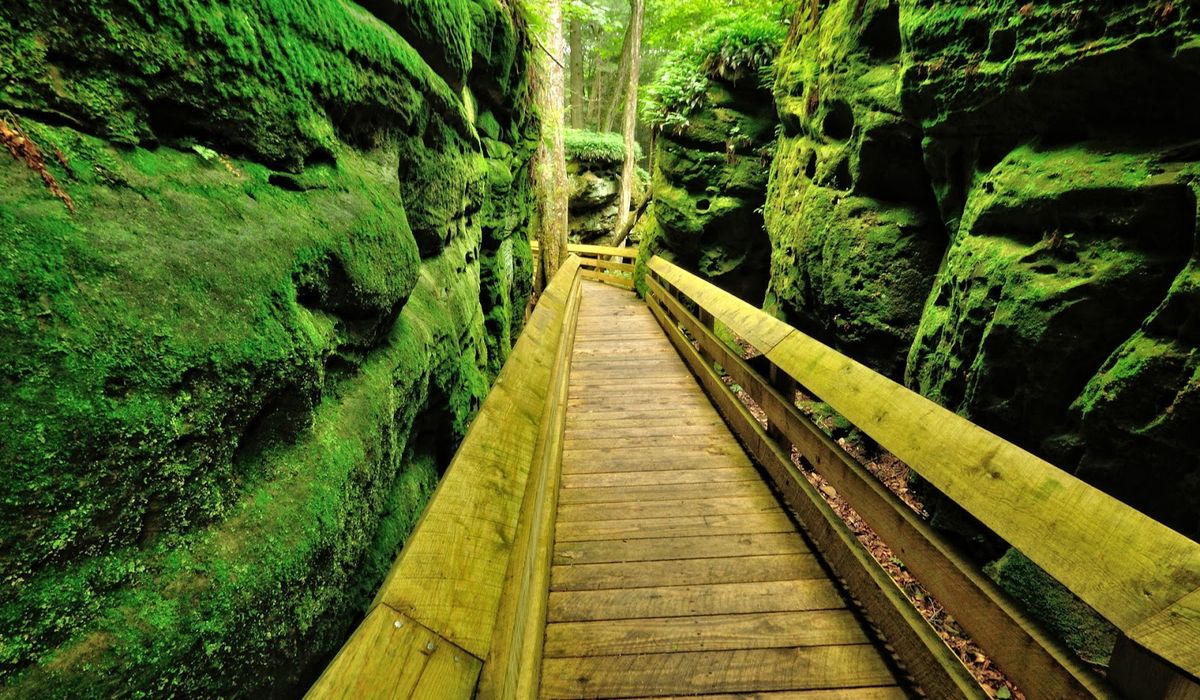 Secrets-Hidden-In-West-Virginia8217s-Bears-Town secrets-hidden-in-west-virginias-bears-town