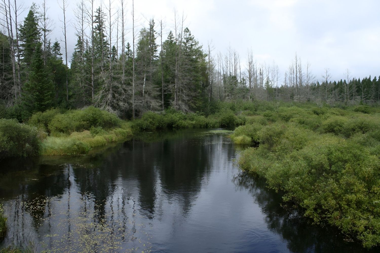 Secrets-Hidden-In-Wisconsin8217s-Chequamegon secrets-hidden-in-wisconsins-chequamegon