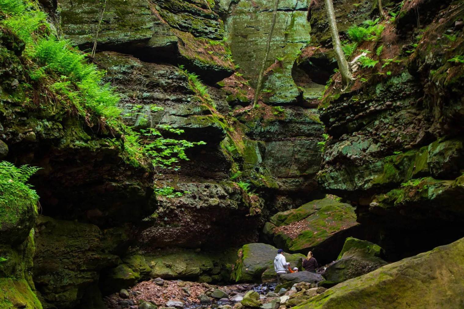 Secrets-Hidden-In-Wisconsin8217s-Parfrey8217s-Glen secrets-hidden-in-wisconsins-parfreys-glen