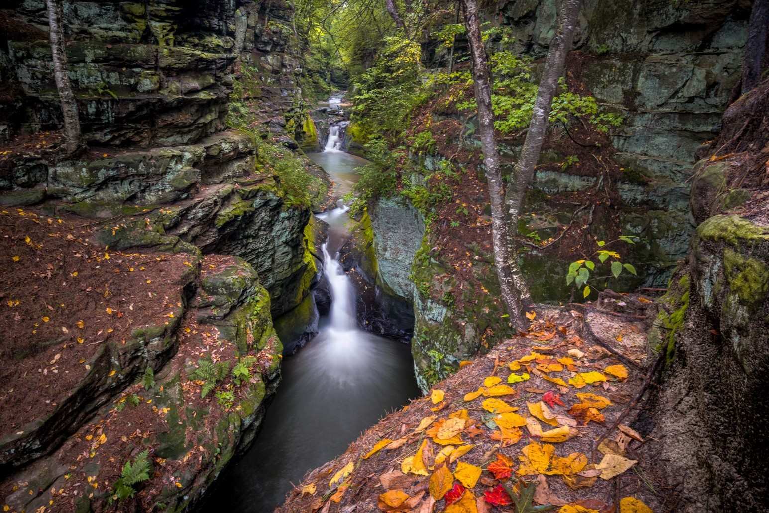 Secrets-Hidden-In-Wisconsin8217s-Pewits-Nest secrets-hidden-in-wisconsins-pewits-nest