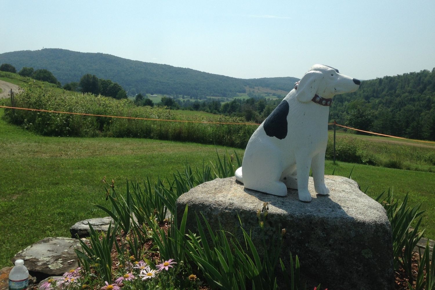 Secrets-Hidden-On-Vermont8217s-Dog-Mountain secrets-hidden-on-vermonts-dog-mountain