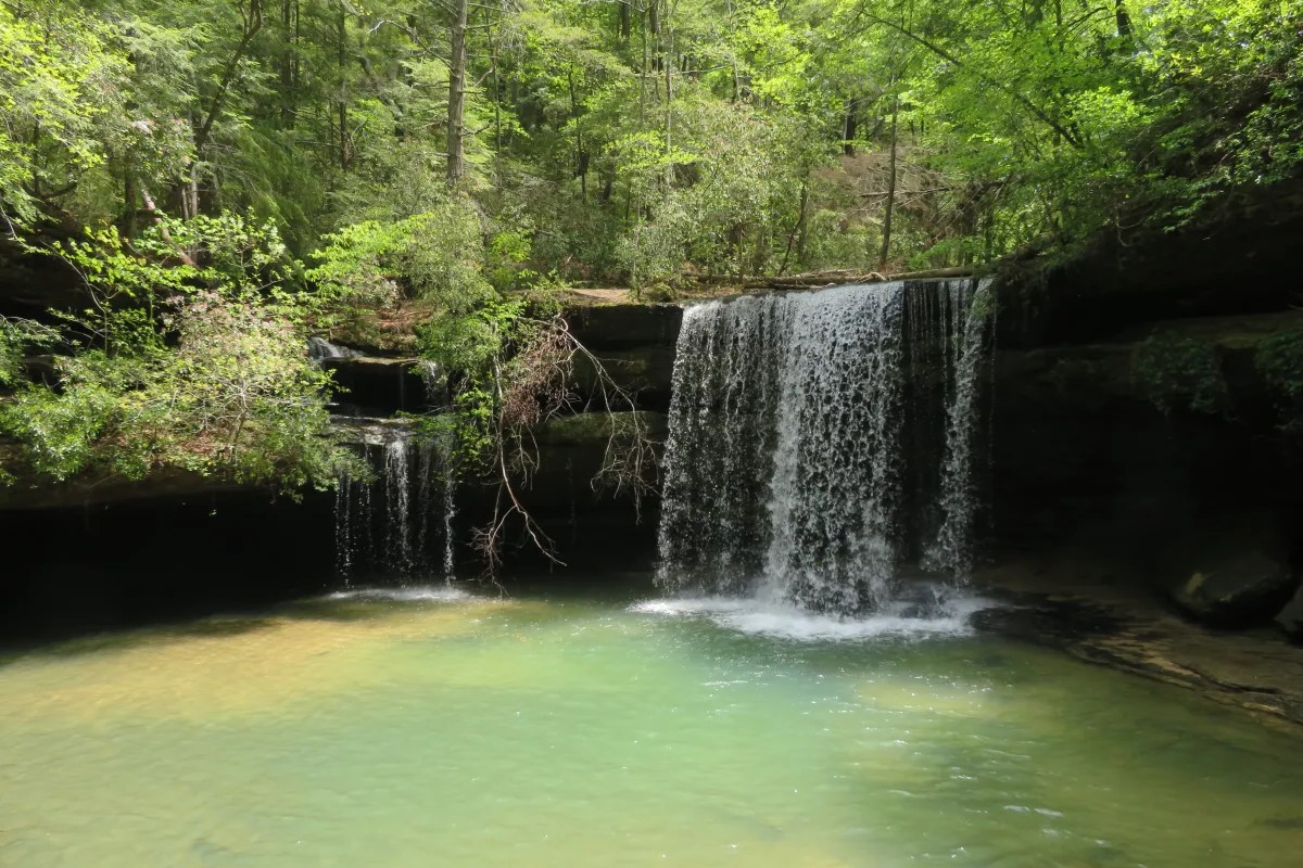 secrets-of-alabamas-caney-creek