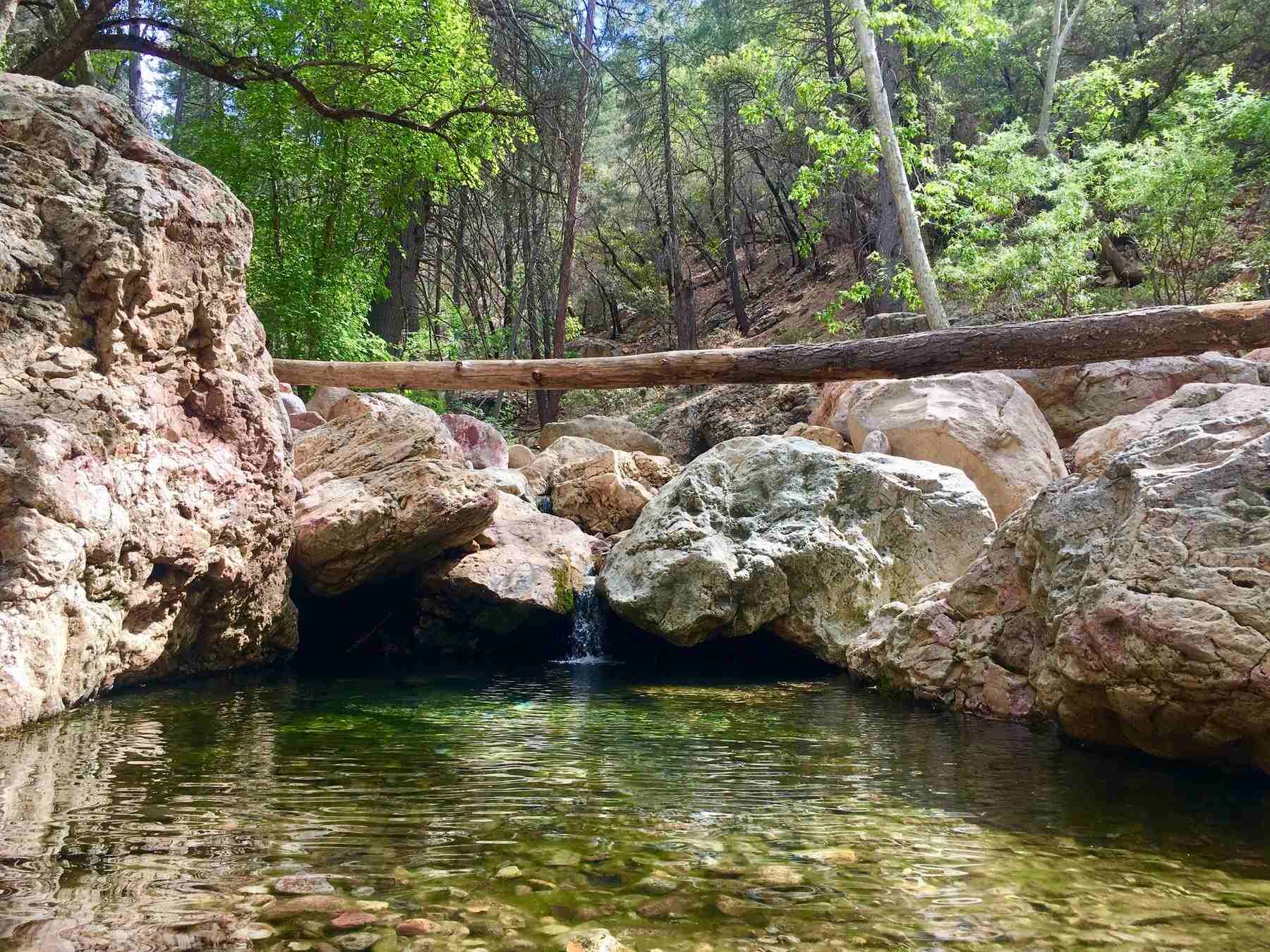 Secrets-Of-Arizona8217s-Chiricahua-Springs secrets-of-arizonas-chiricahua-springs