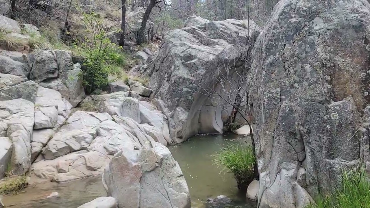 Secrets-Of-Arizona8217s-Wolf-Creek-Springs secrets-of-arizonas-wolf-creek-springs