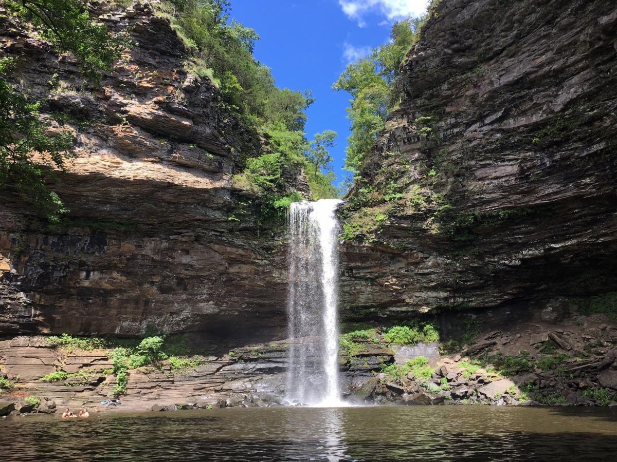 secrets-of-arkansas-cedar-falls-paths