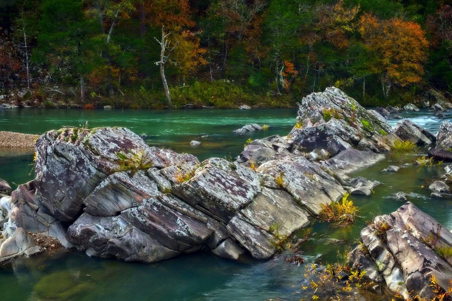 secrets-of-arkansas-cossatot