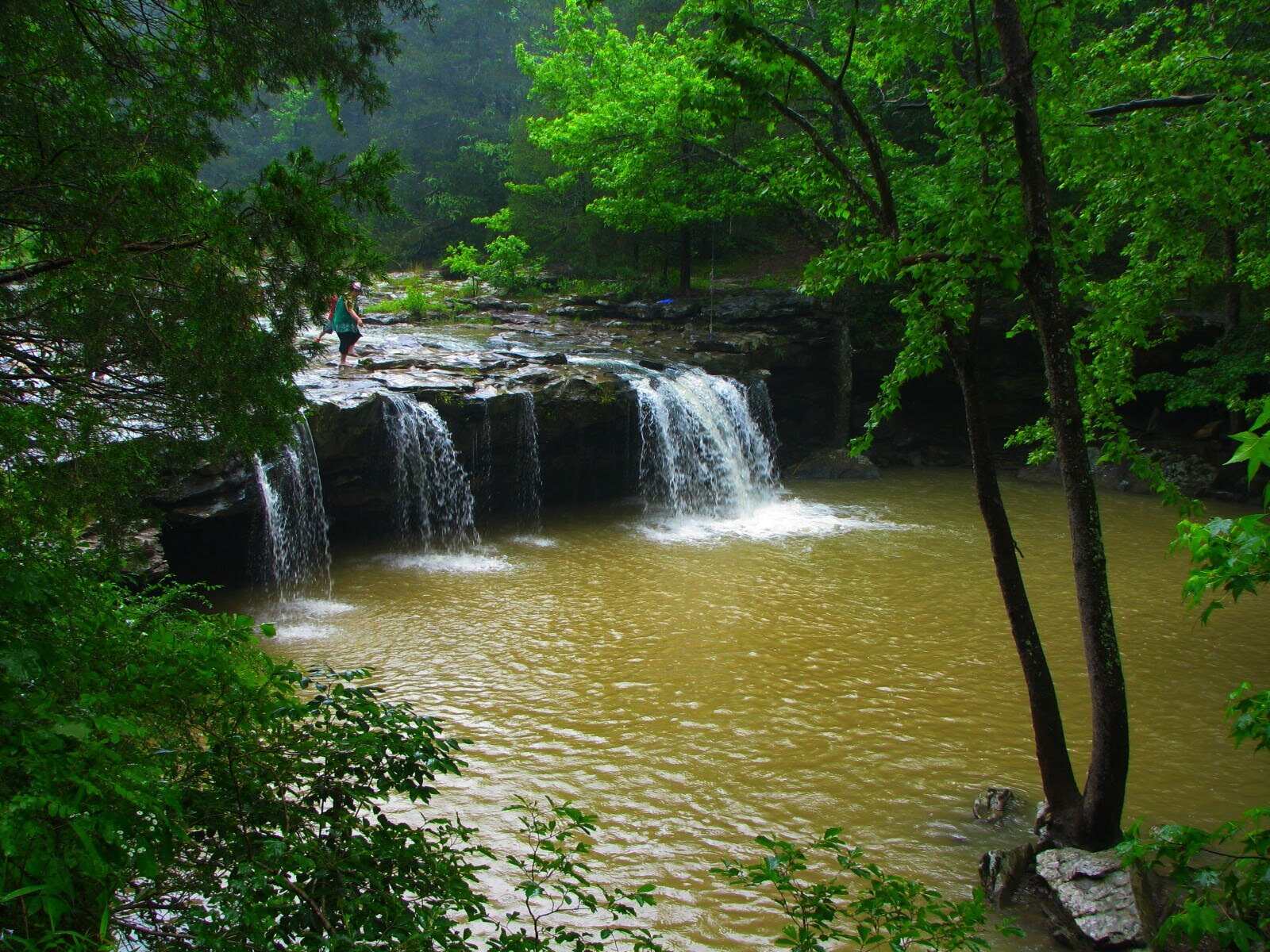 Secrets-Of-Arkansas8217-Twin-Creek-Springs secrets-of-arkansas-twin-creek-springs