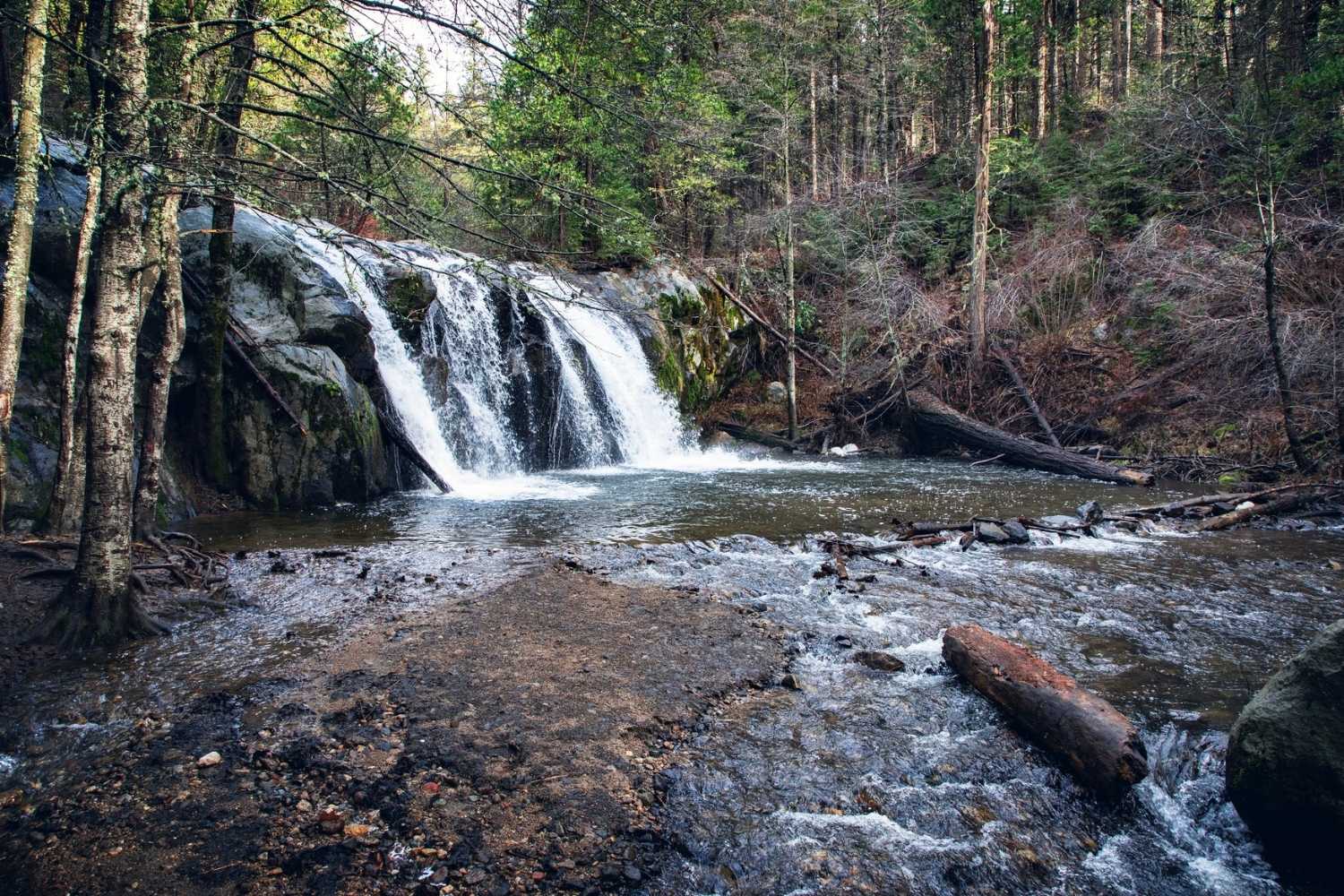 secrets-of-californias-lewis-creek-revealed