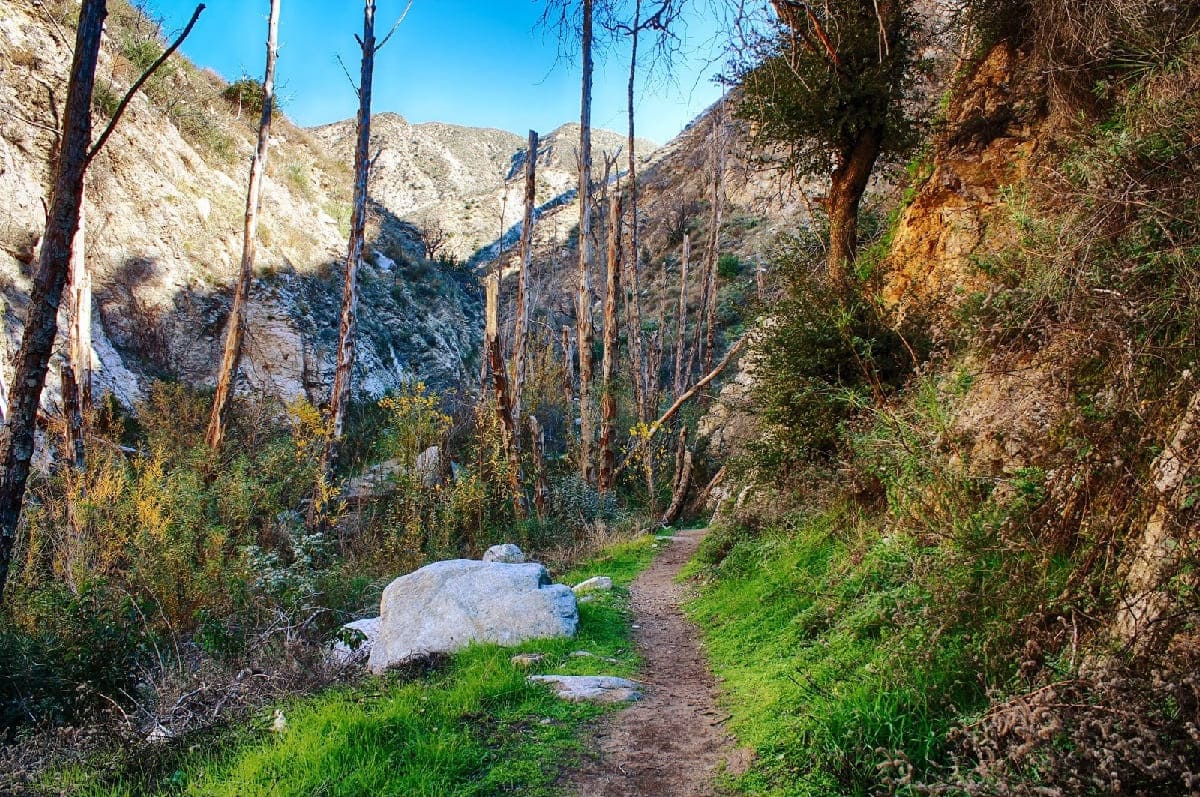 secrets-of-californias-trail-canyon