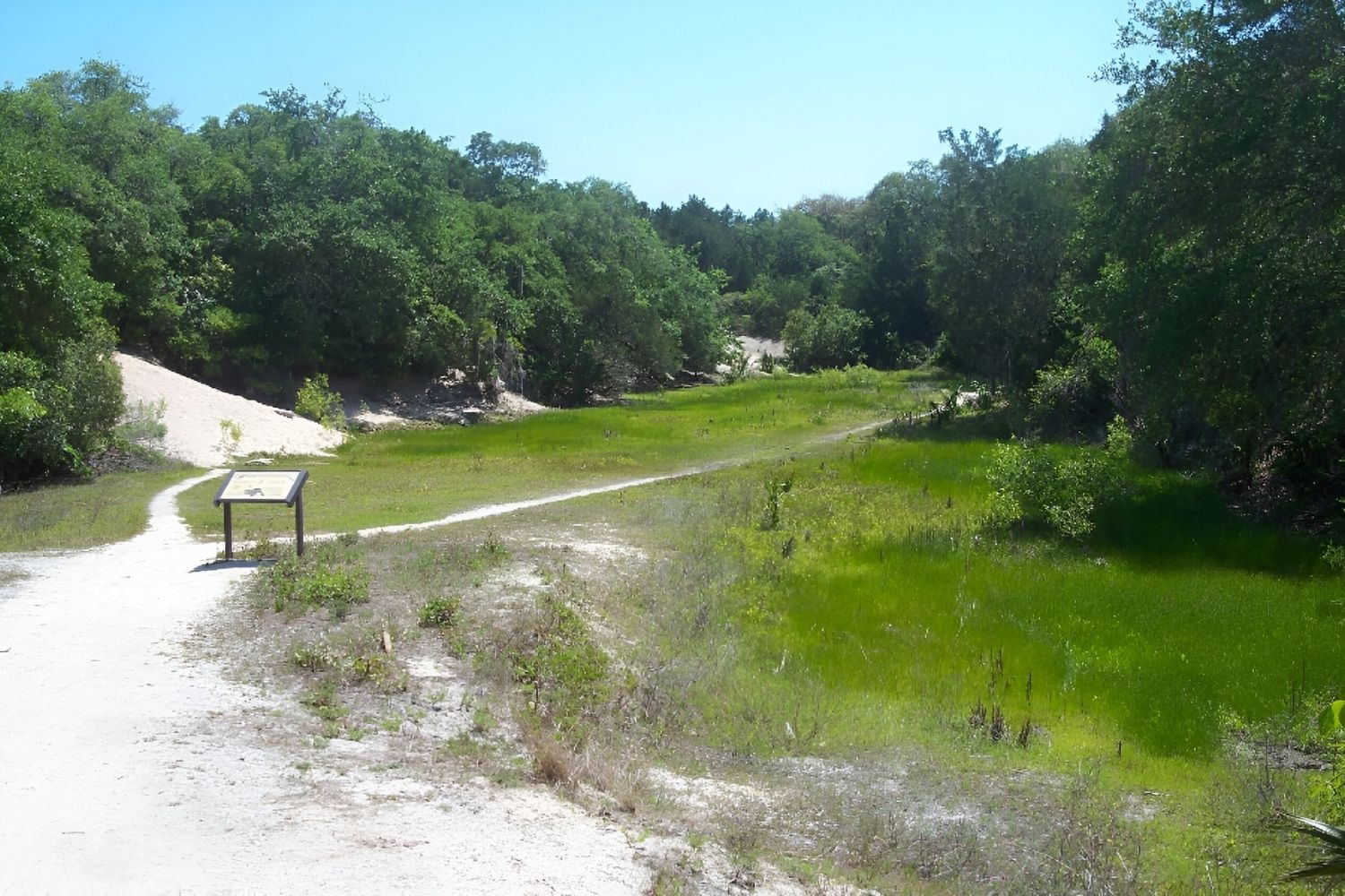 secrets-of-floridas-old-spanish-trail