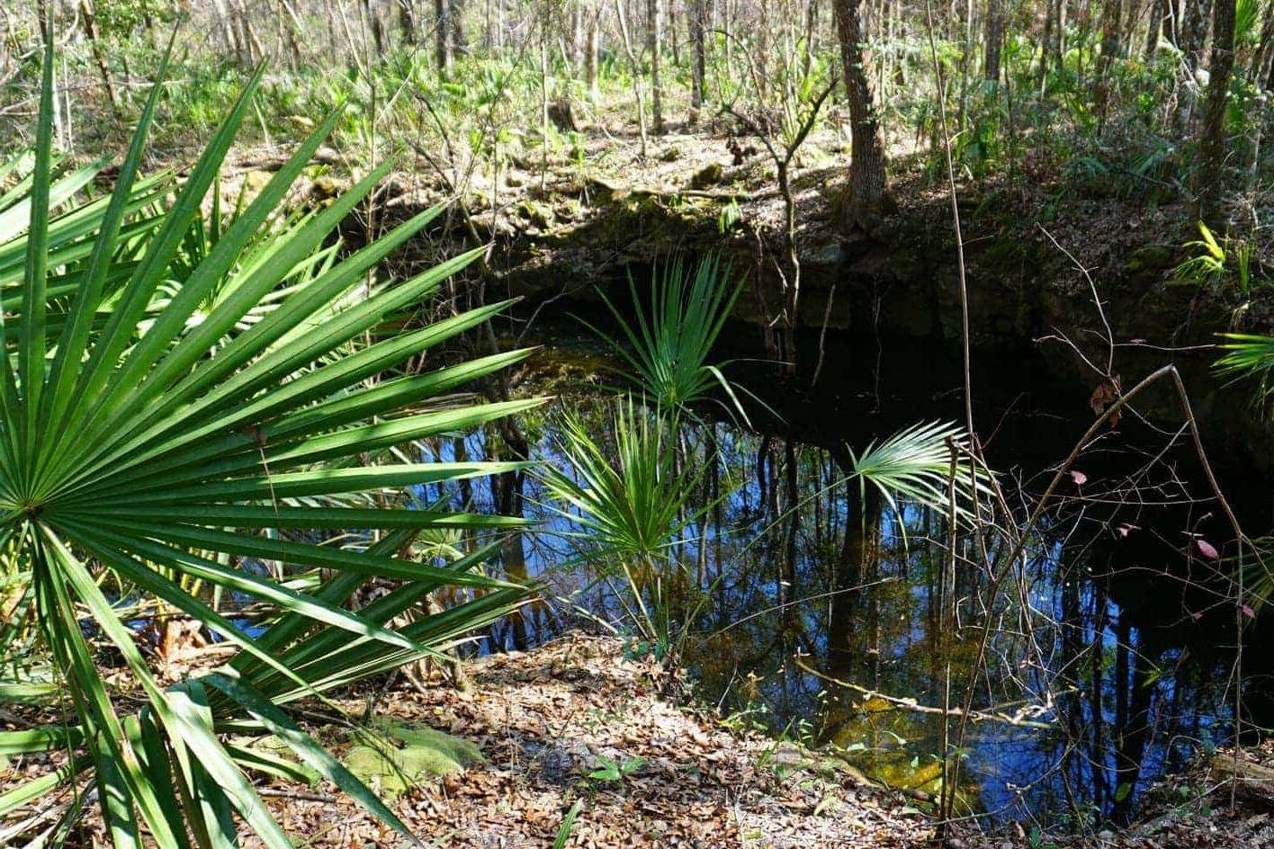Secrets-Of-Florida8217s-River-Rise-Mines secrets-of-floridas-river-rise-mines