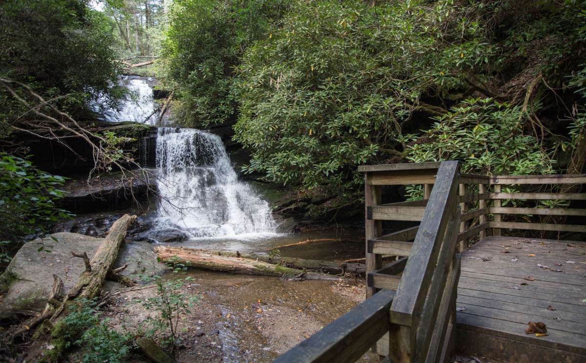 secrets-of-georgias-becky-branch