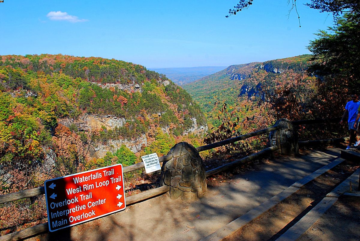 Secrets-Of-Georgia8217s-Cloudland-Canyon-Trails secrets-of-georgias-cloudland-canyon-trails