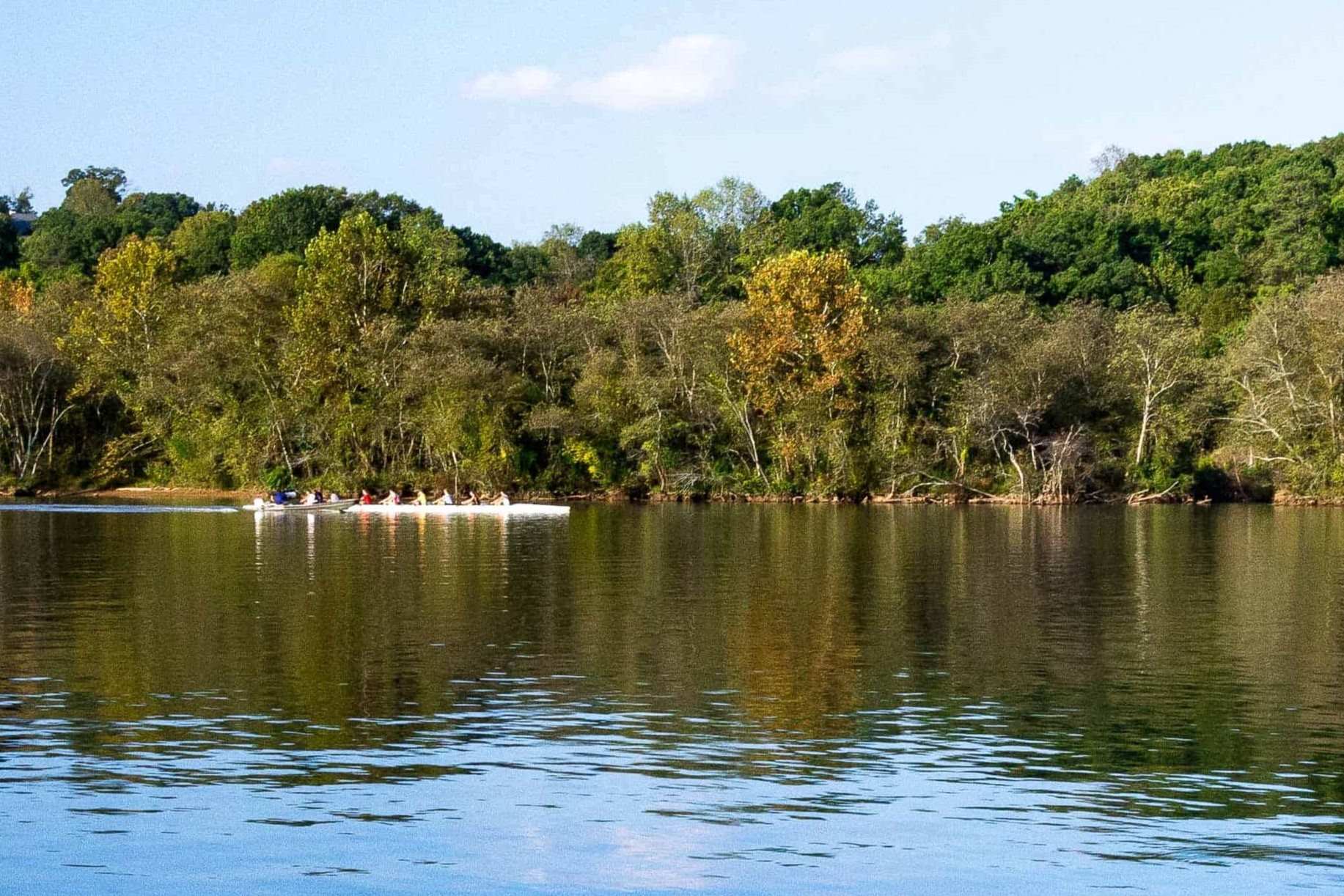 secrets-of-georgias-gold-branch