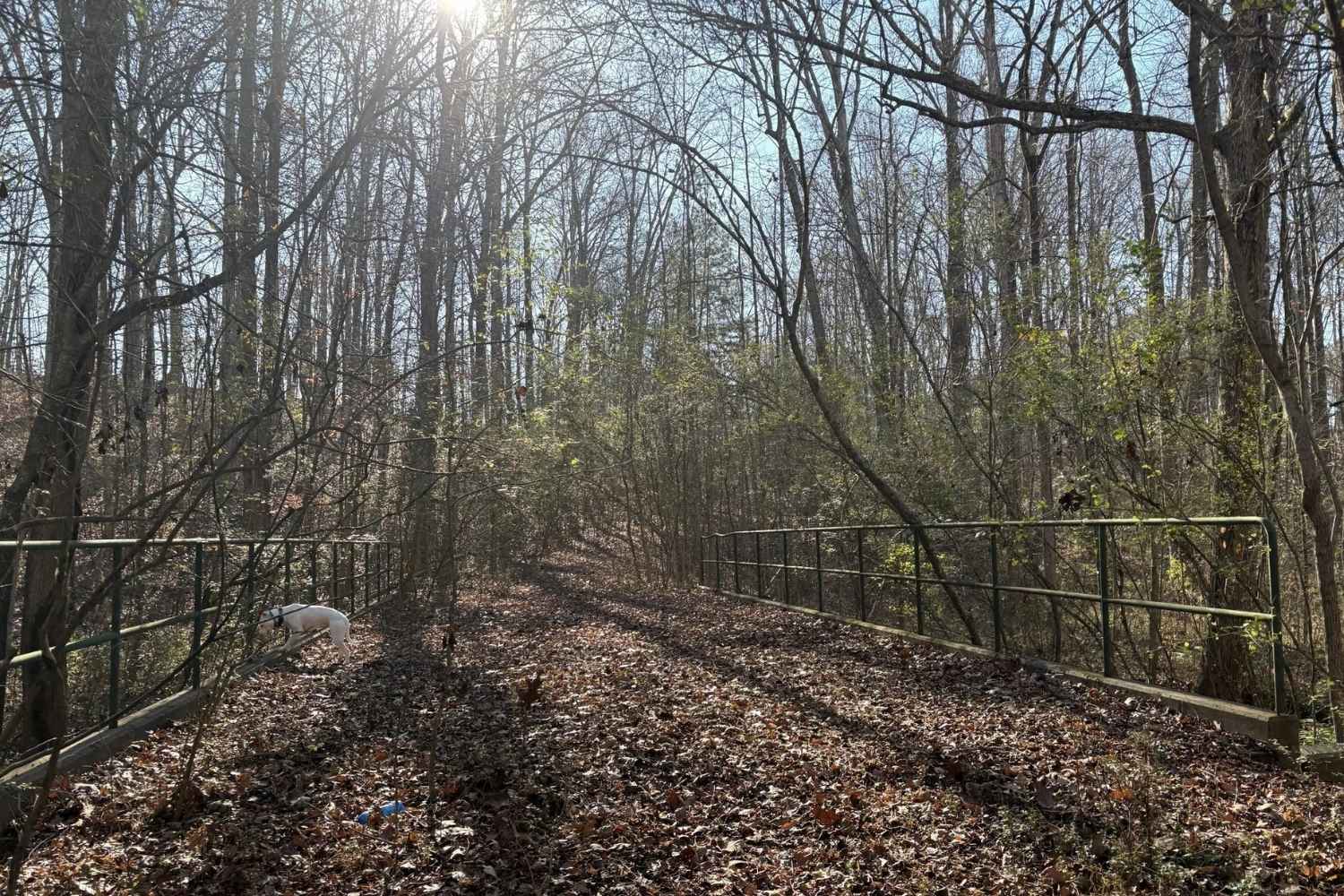 secrets-of-georgias-hidden-valley