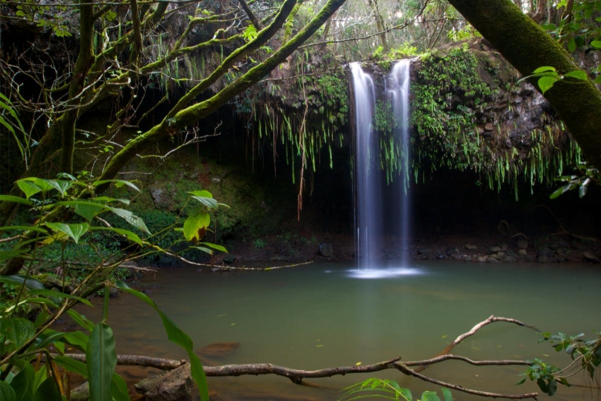 Secrets-Of-Hawaii8217s-Twin-Falls-Springs secrets-of-hawaiis-twin-falls-springs