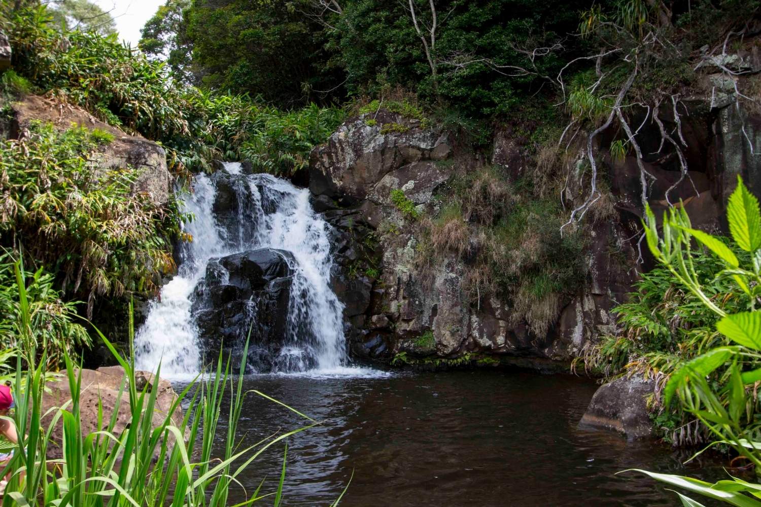 Secrets-Of-Hawaii8217s-Waipoo-Falls-Springs secrets-of-hawaiis-waipoo-falls-springs