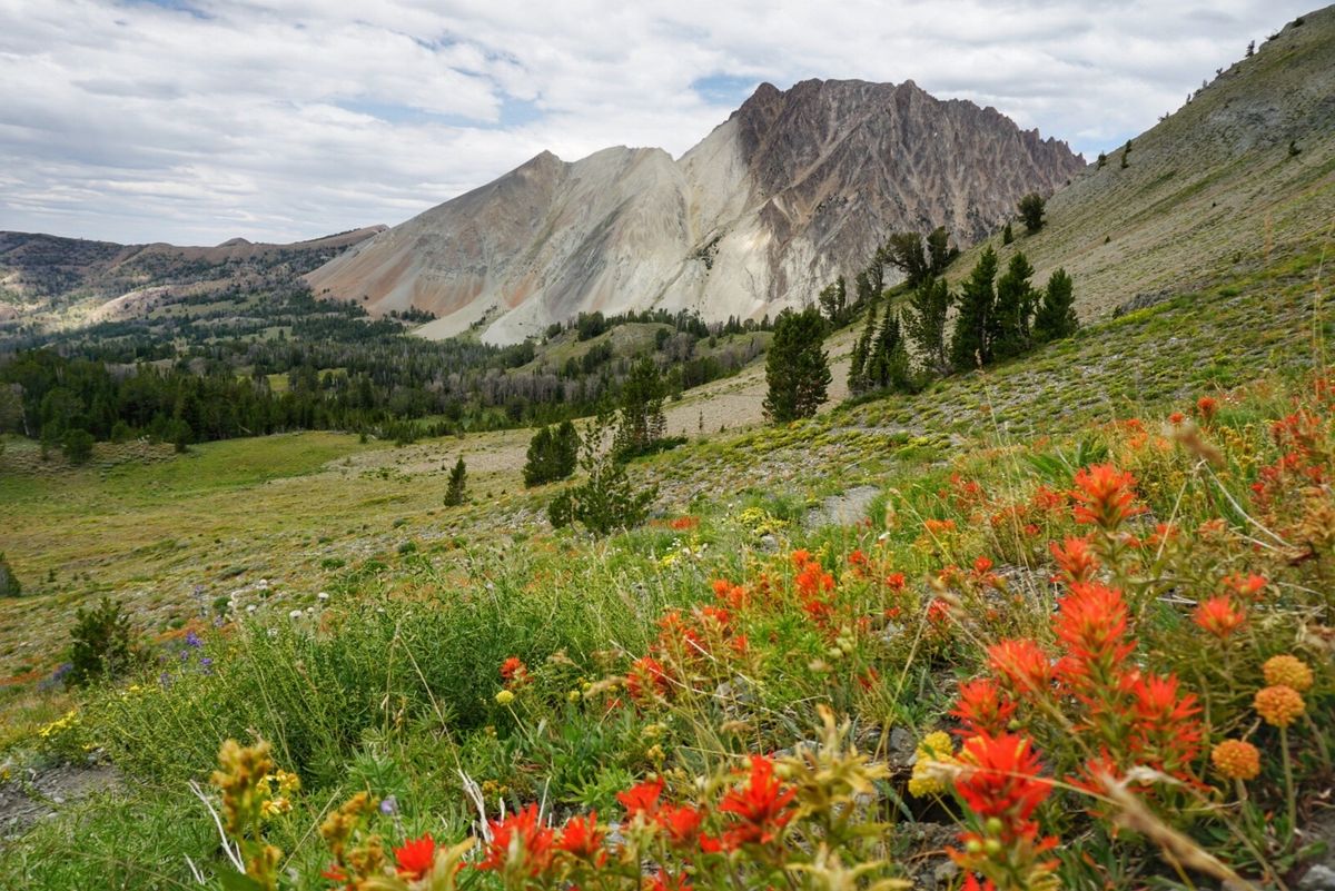 Secrets-Of-Idaho8217s-Stanley-Basin-Trails secrets-of-idahos-stanley-basin-trails