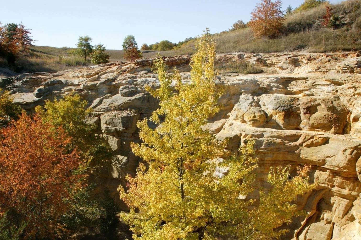 secrets-of-illinois-buffalo-rock