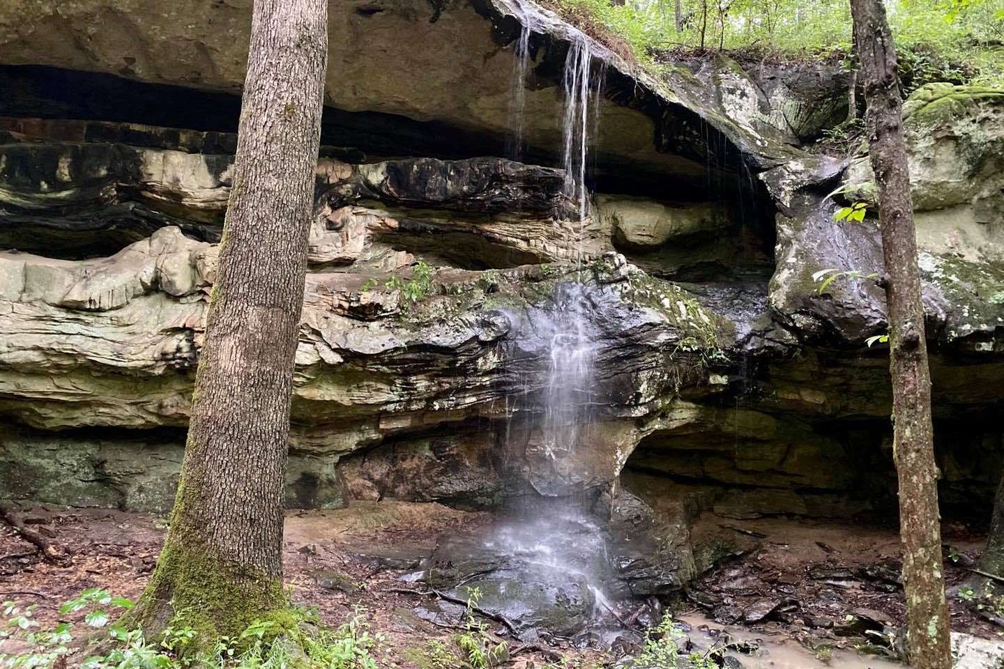 secrets-of-illinois-giant-city-springs