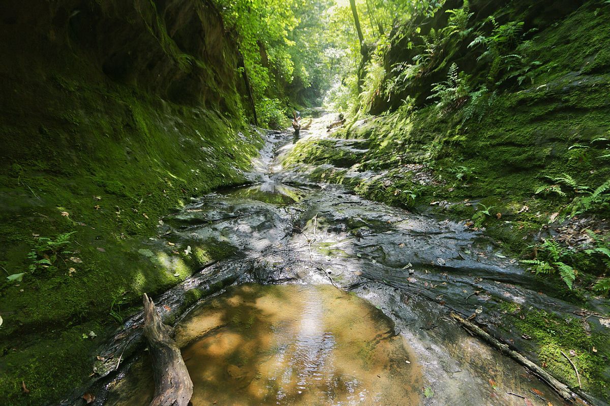 secrets-of-illinois-little-grand-canyon