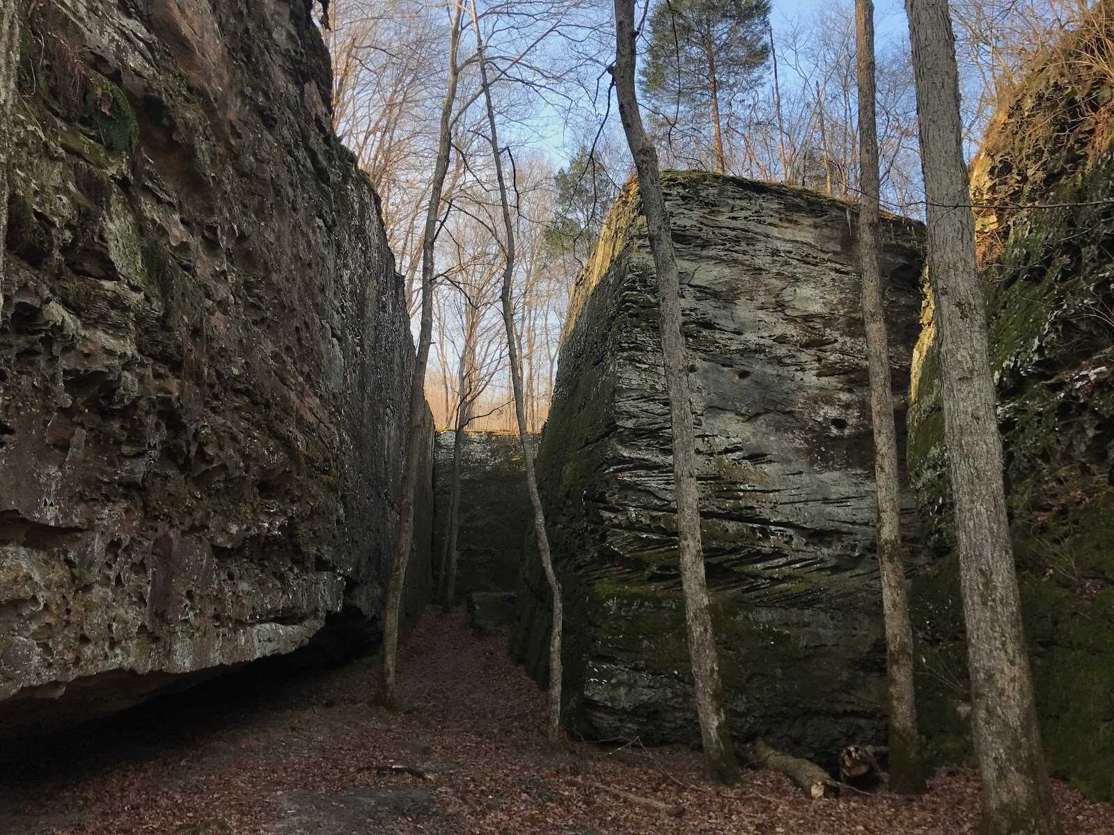 secrets-of-illinois-panther-den