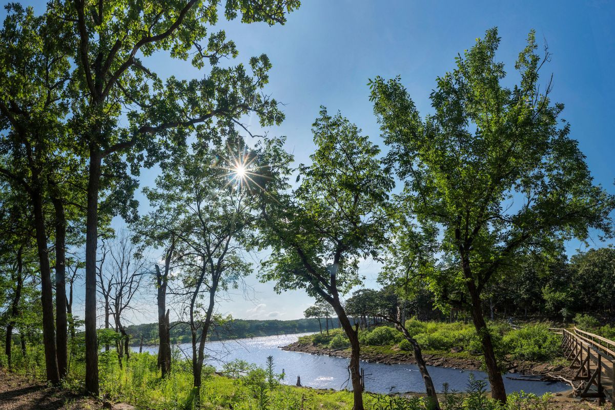 secrets-of-kansas-cross-timbers