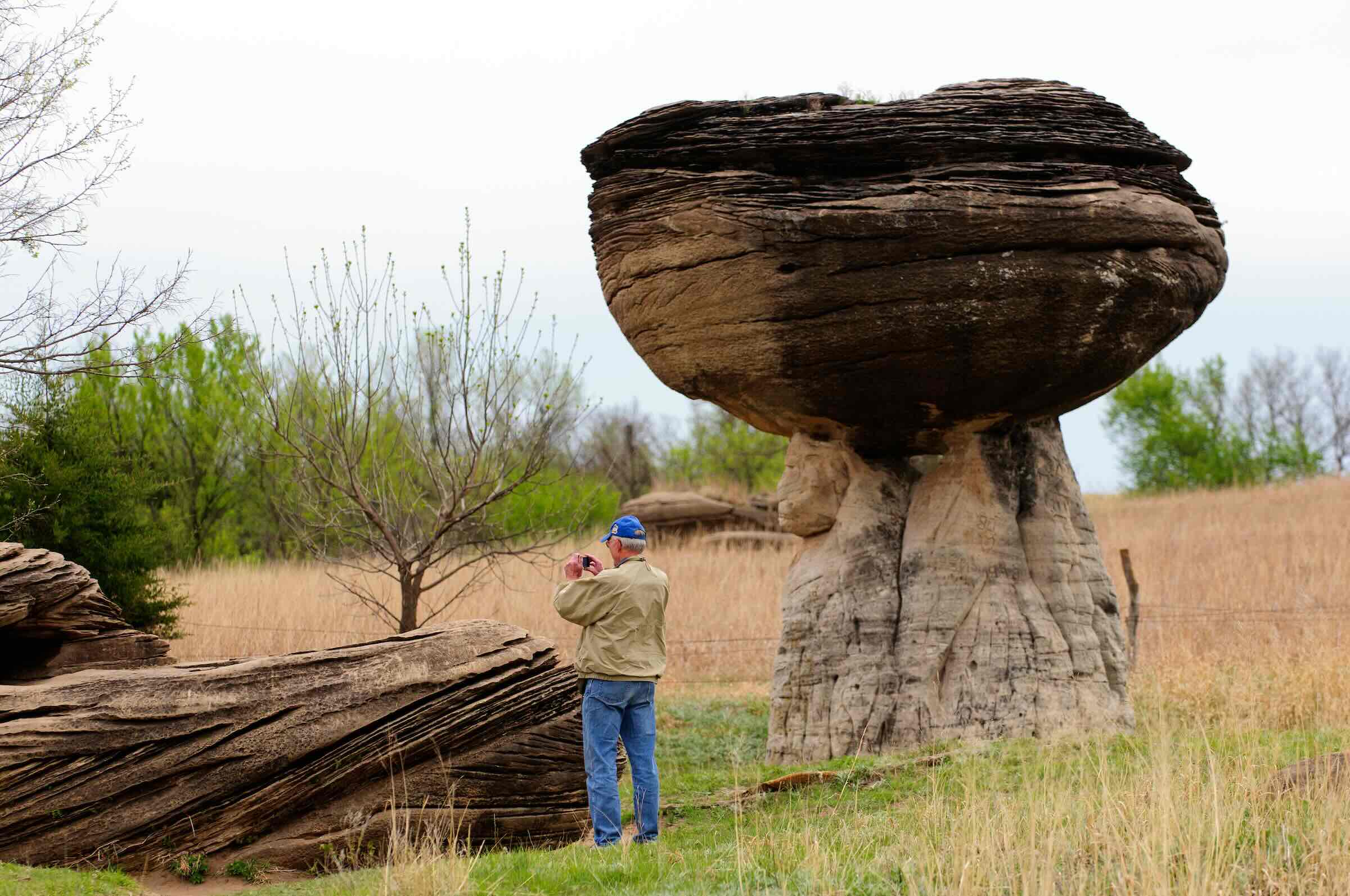 Secrets-Of-Kansas8217s-Mushroom-State secrets-of-kansass-mushroom-state