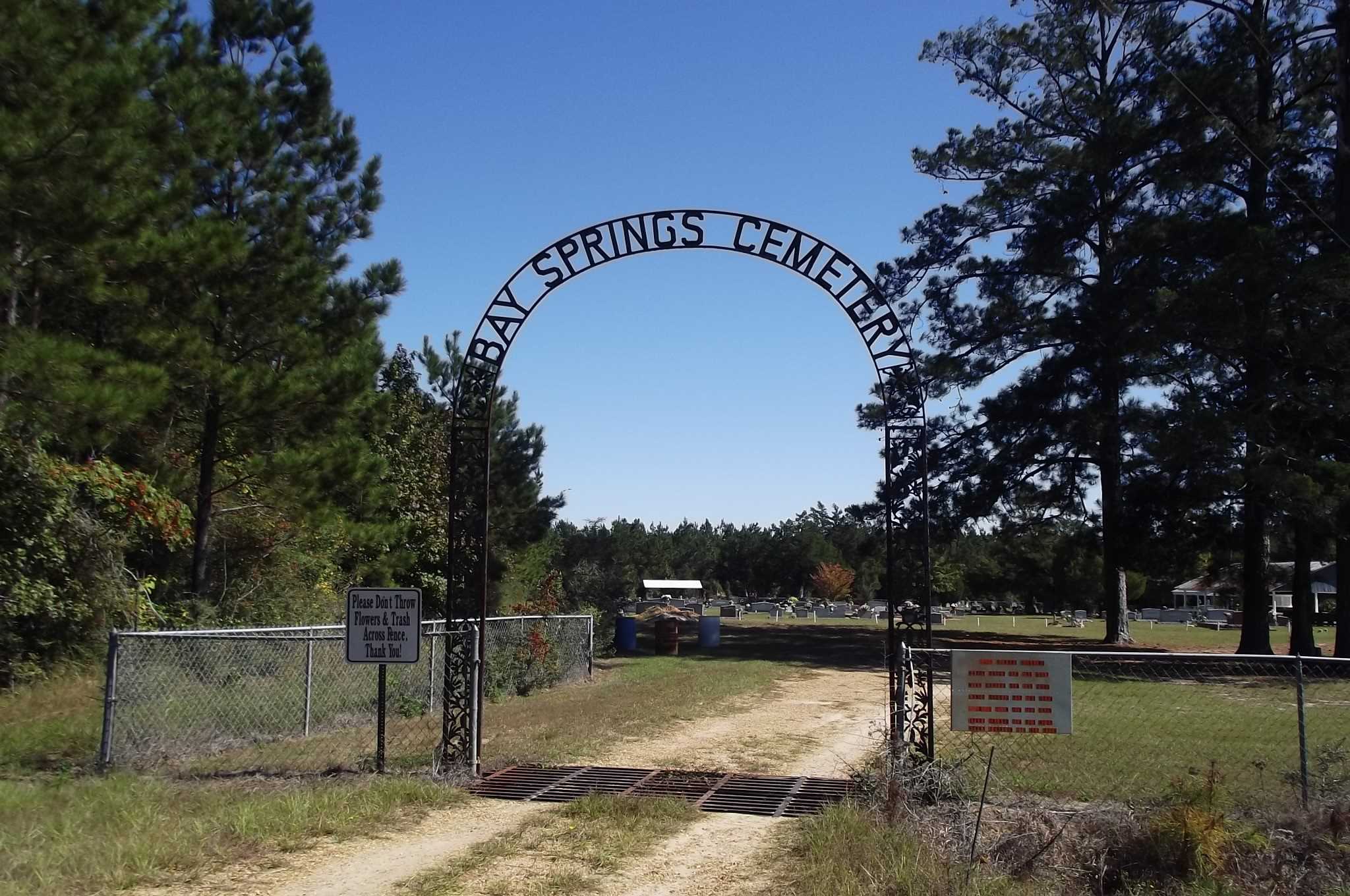 secrets-of-louisianas-ancient-bay-springs