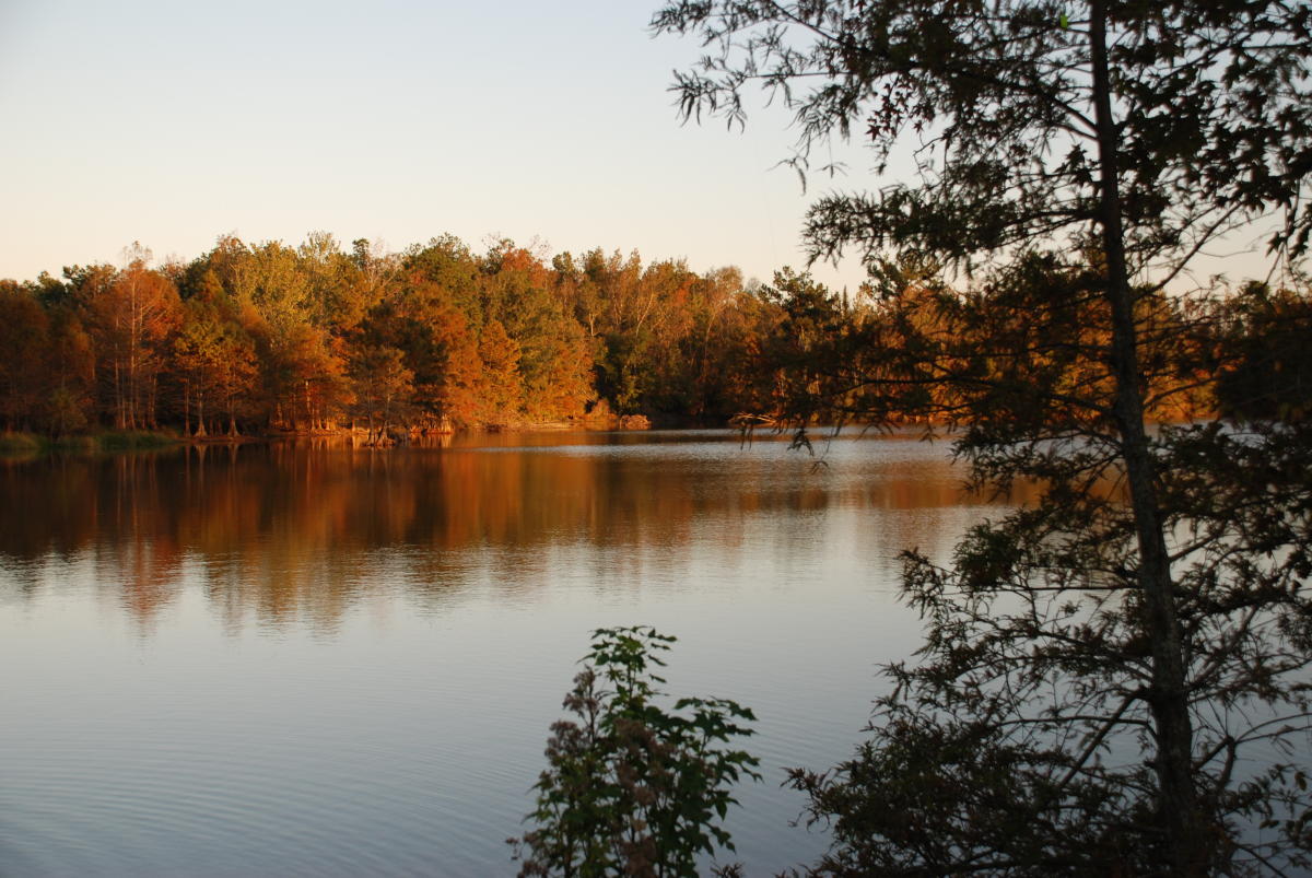 secrets-of-louisianas-bogue-chitto-springs