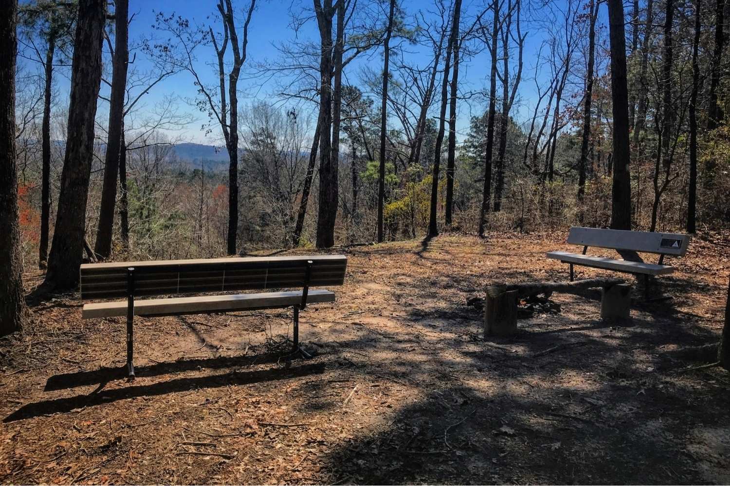 secrets-of-louisianas-driskill-mountain