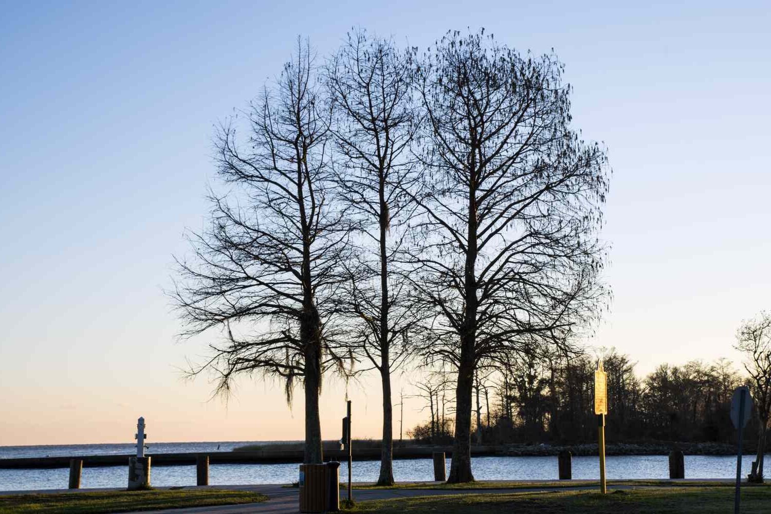 secrets-of-louisianas-hidden-world