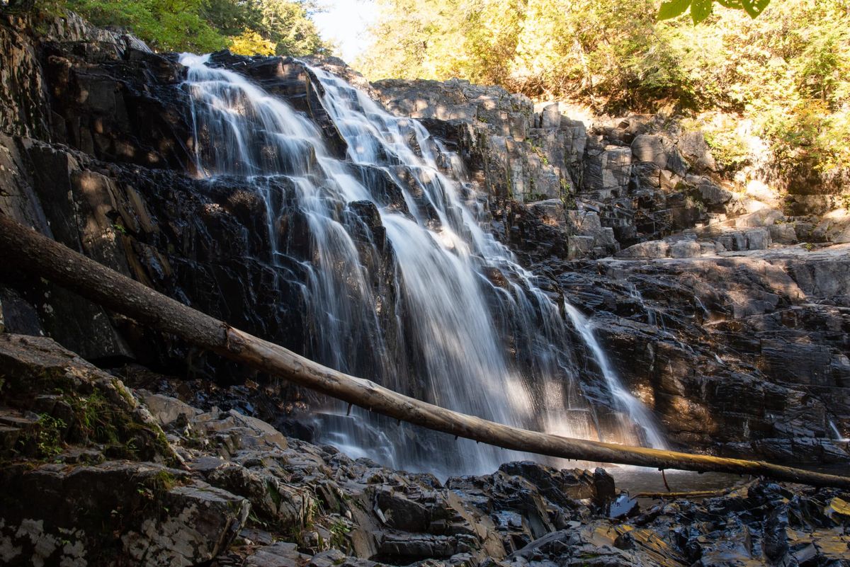 secrets-of-maines-houston-brook-springs