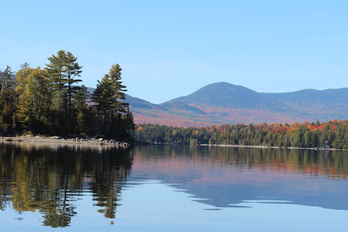 secrets-of-maines-little-wilson