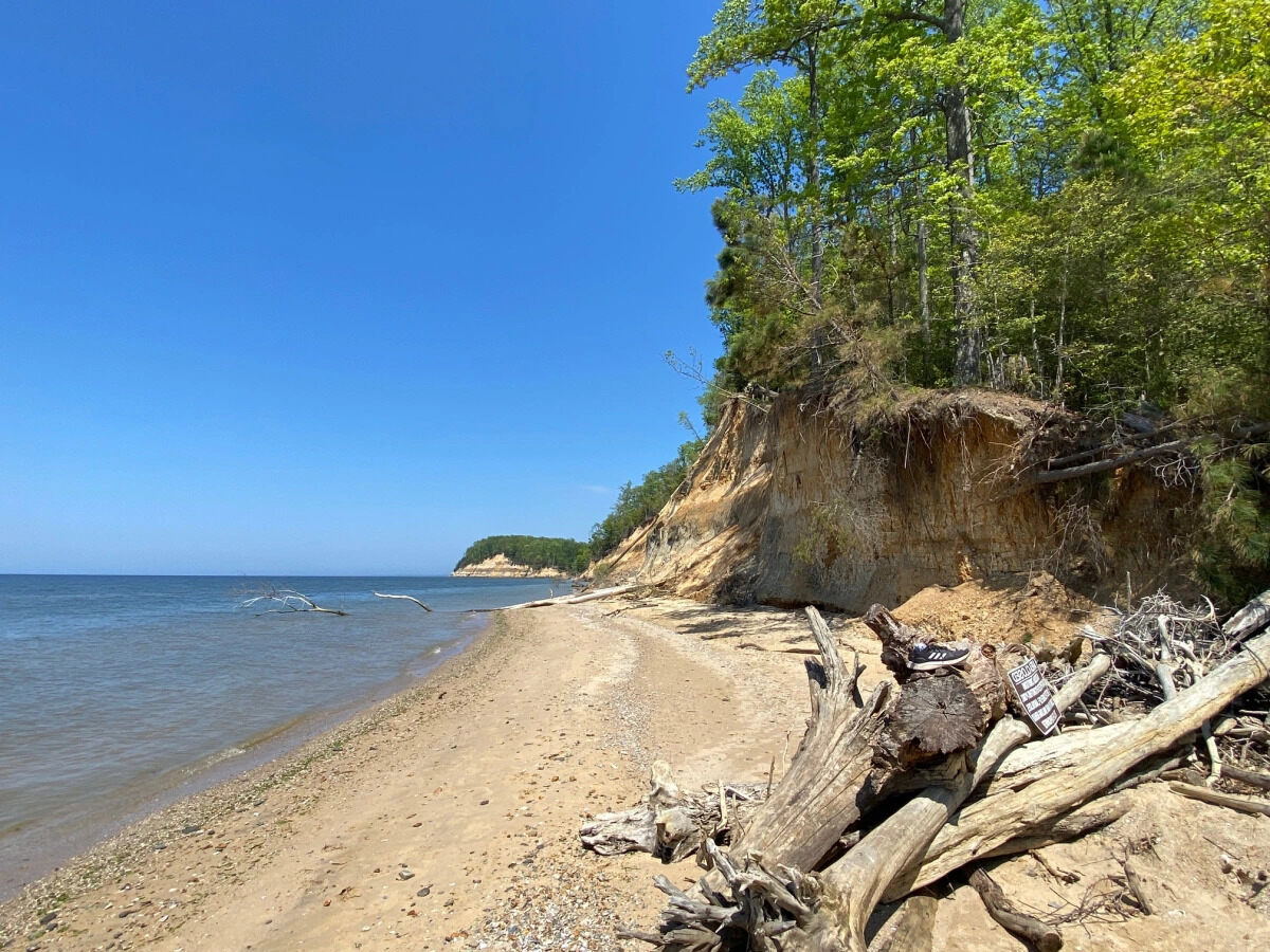 Secrets-Of-Maryland8217s-Calvert-Cliffs secrets-of-marylands-calvert-cliffs